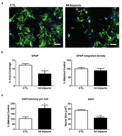 Dynamic impact of brain cells